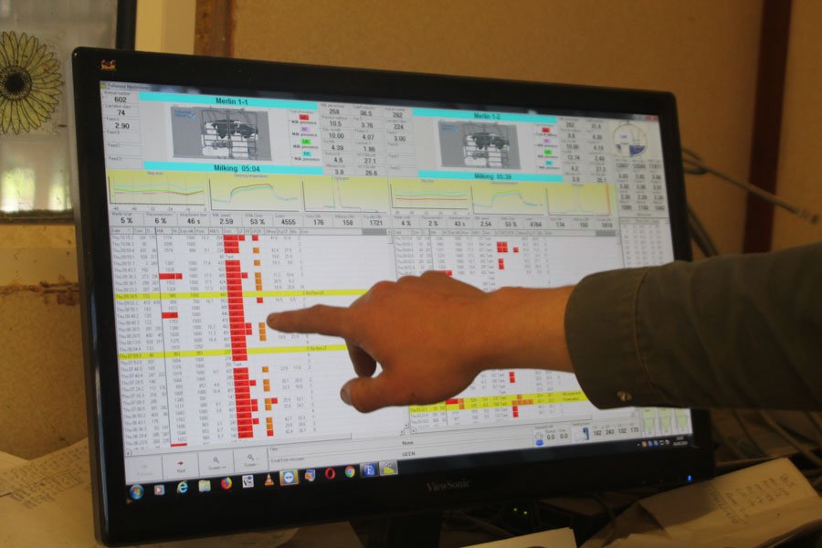 Breeding records and service planning