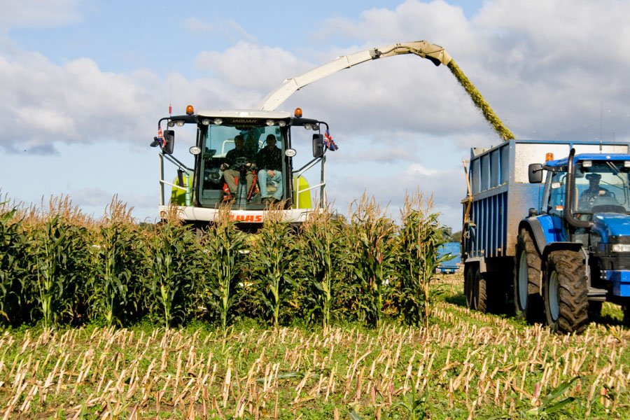 Forage harvesting and storage checks
